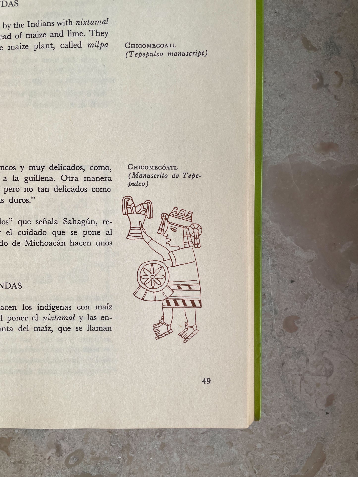 Vintage Cookbook “Pre-Hispanic Cooking”